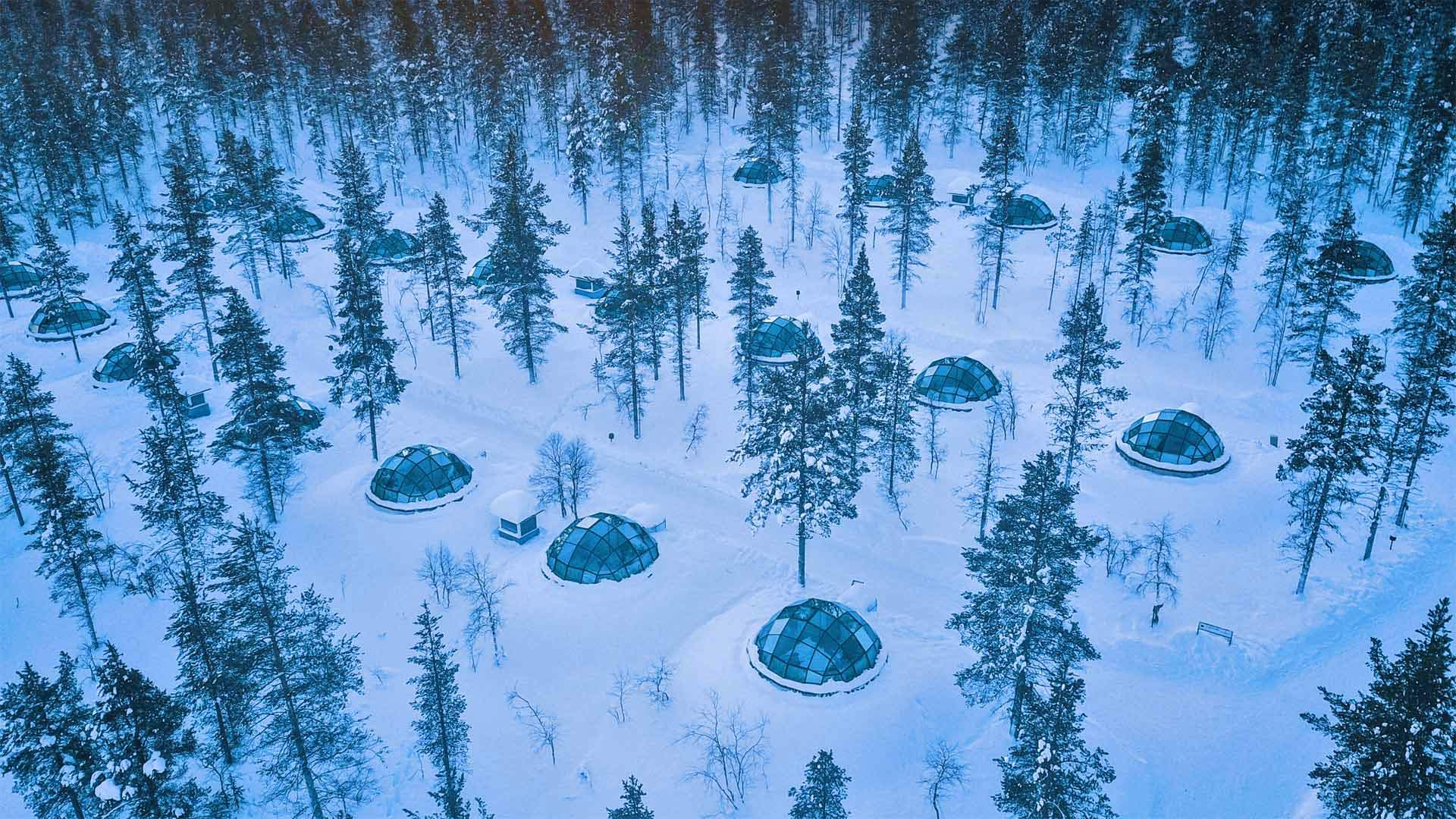 必应壁纸:卡克斯劳塔宁阿克蒂克度假酒店的玻璃圆顶冰屋，芬兰萨里山  (© Lingxiao Xie/Getty Images)