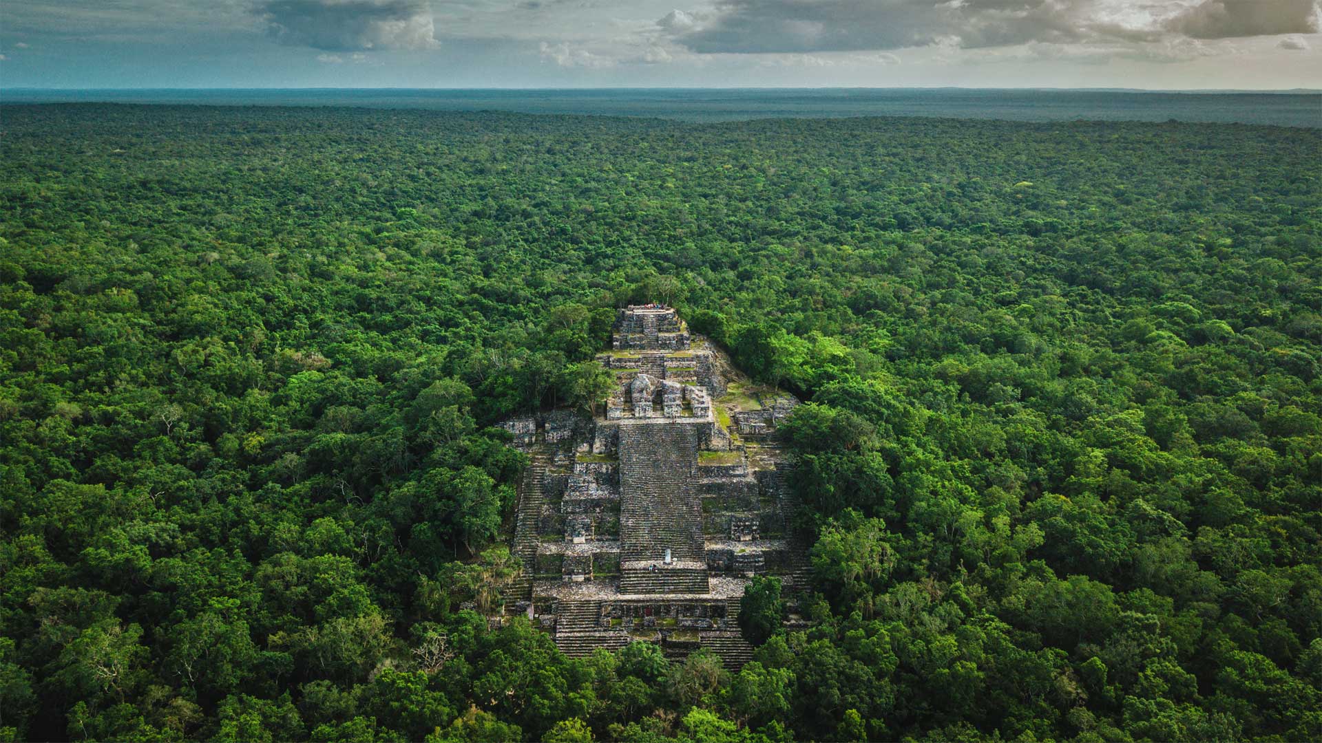 必应壁纸:被丛林包围着的玛雅古城卡拉克穆尔遗址，墨西哥坎佩切 (© Alfredo Matus/Shutterstock)