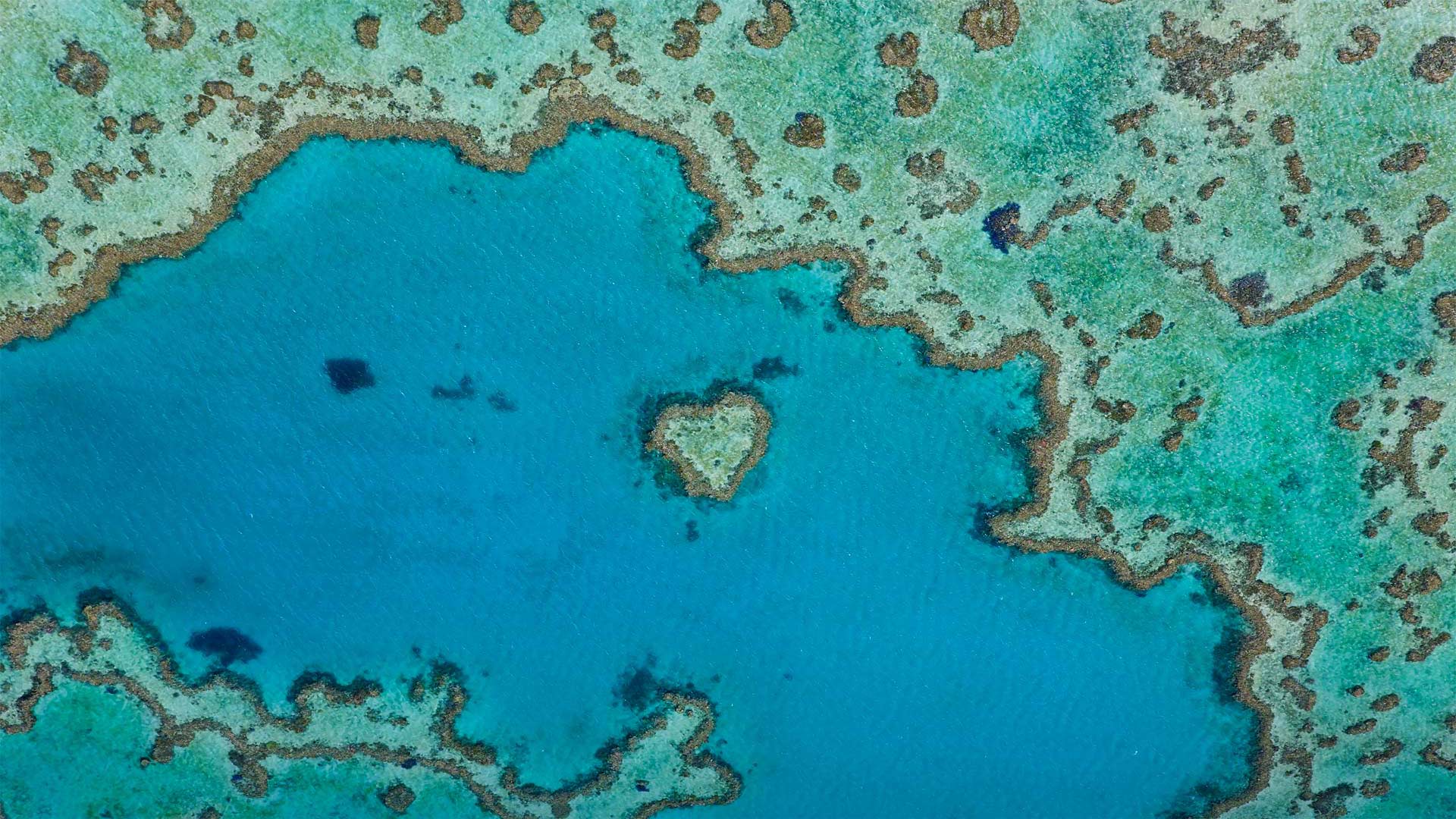 必应壁纸:属于大堡礁的一部分的心形礁，澳大利亚昆士兰 (© Peter Adams/Offset by Shutterstock)