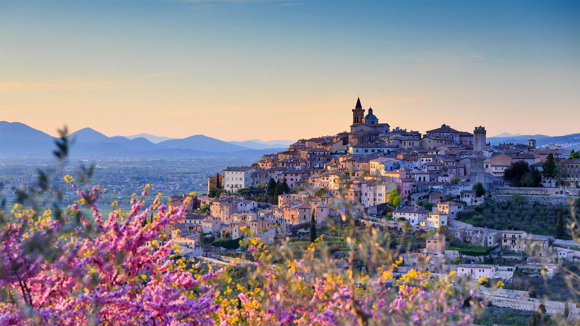 必应壁纸:俯瞰着特雷维的扁桃花，意大利佩鲁贾 (© Maurizio Rellini/eStock Photo)