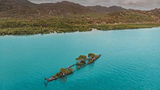 航拍生长着树木的遇难船“阿德莱德市”残骸，澳大利亚磁岛 (© Amazing Aerial Agency/Offset by Shutterstock)_必应壁纸