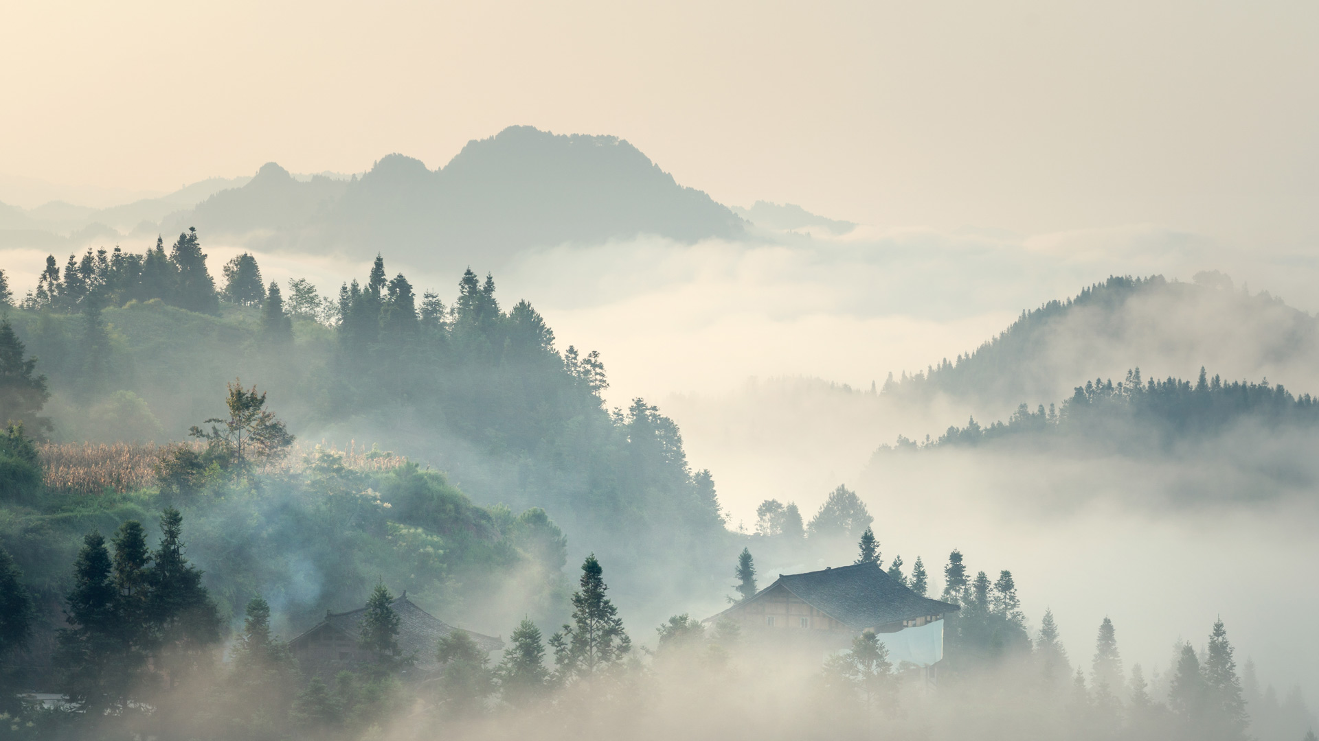 必应壁纸:【今日清明】（ © yangphoto ）