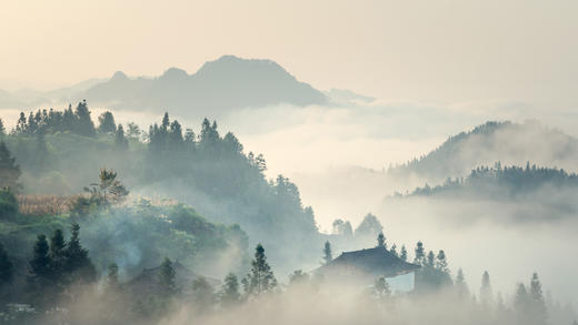 【今日清明】（ © yangphoto ）_必应壁纸