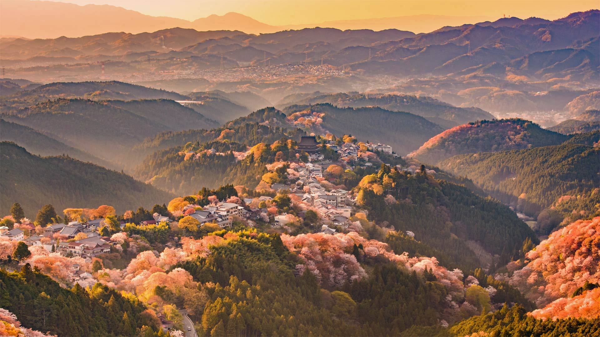 必应壁纸:吉野山，日本奈良 (© Sean Pavone/iStock/Getty Images Plus)