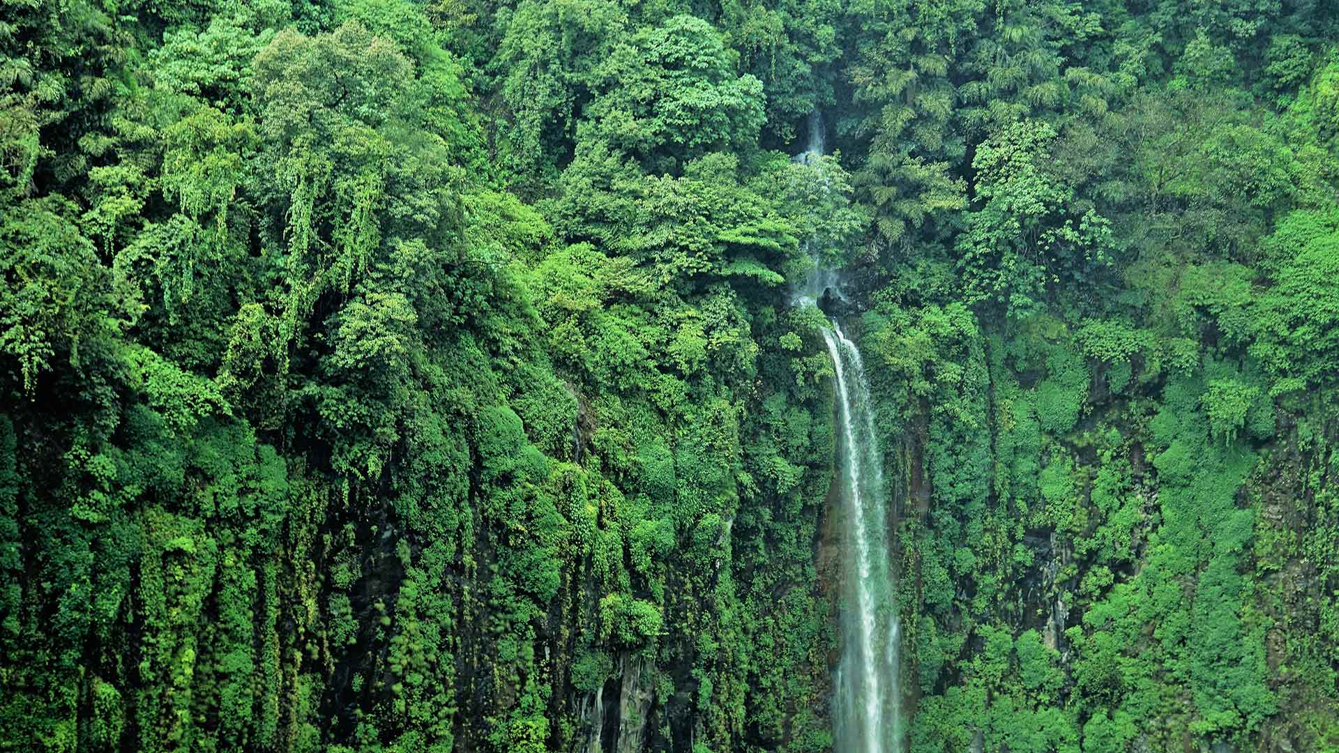 必应壁纸:托塞加尔瀑布，印度马哈拉施特拉邦 (© Sonali Kumar/iStock/Getty Images Plus)