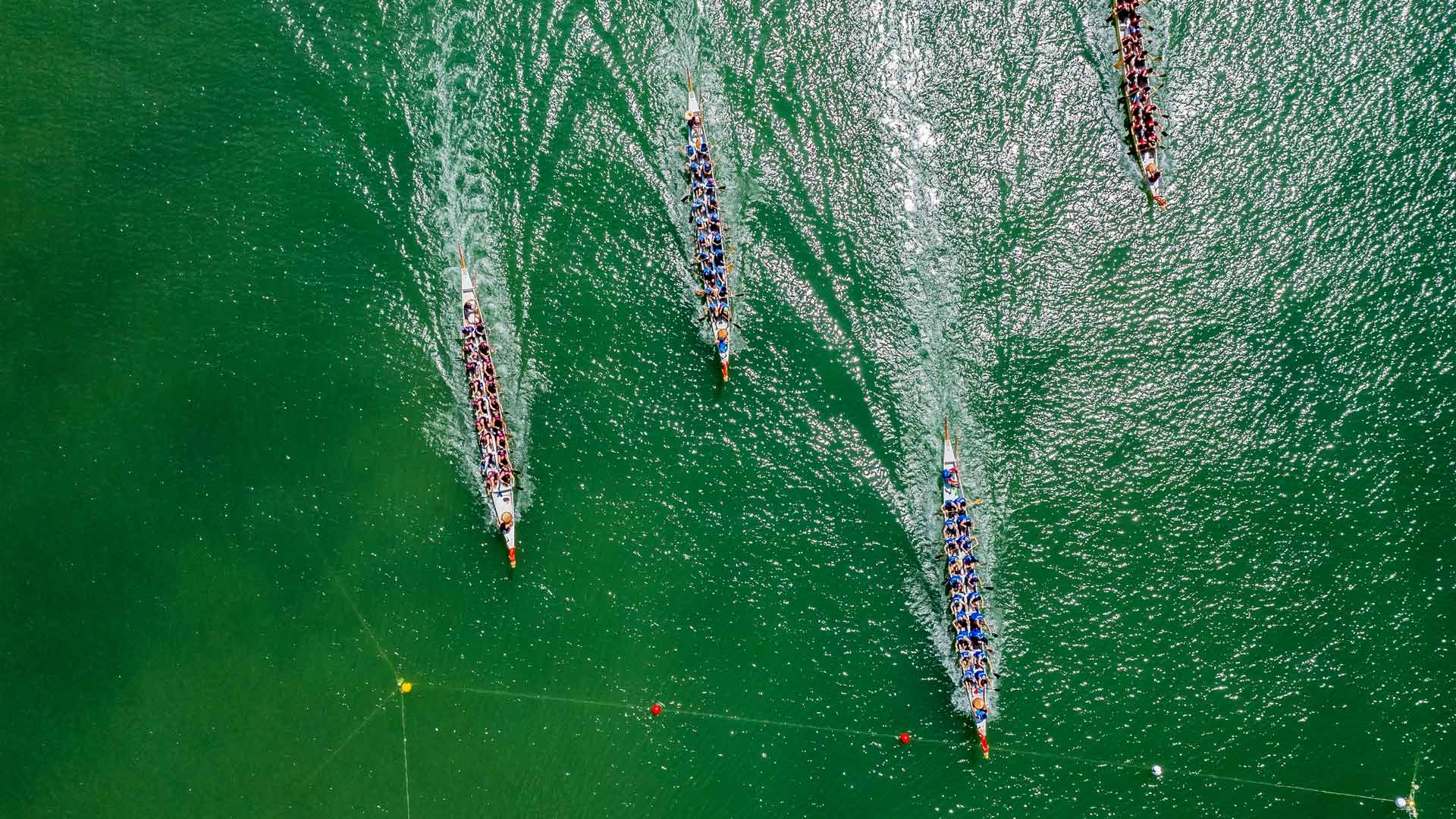 必应壁纸:【端午安康】 （ © 	Shutterstock ）