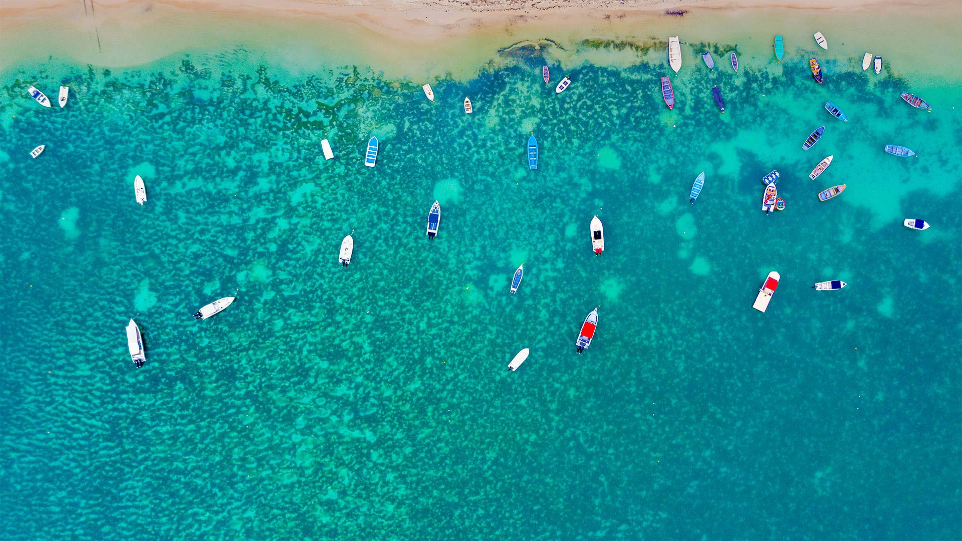 必应壁纸:Mont Choisy Beach, Mauritius (© Robert Harding World Imagery/Offset by Shutterstock)