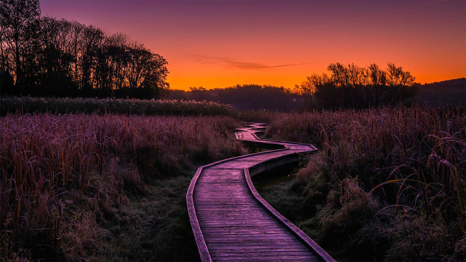 必应壁纸:天堂之路，新泽西州瓦瓦安达州立公园 (© Leembe/Getty Images)