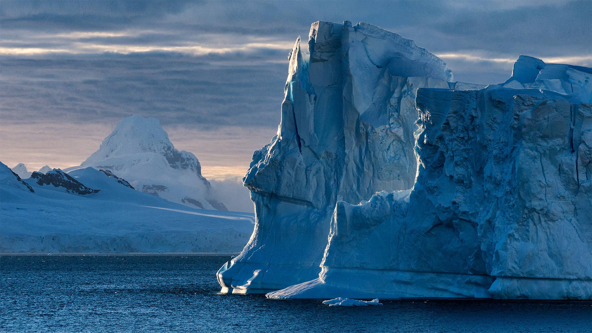 必应壁纸:库佛维尔岛附近的蓝色冰山，南极洲