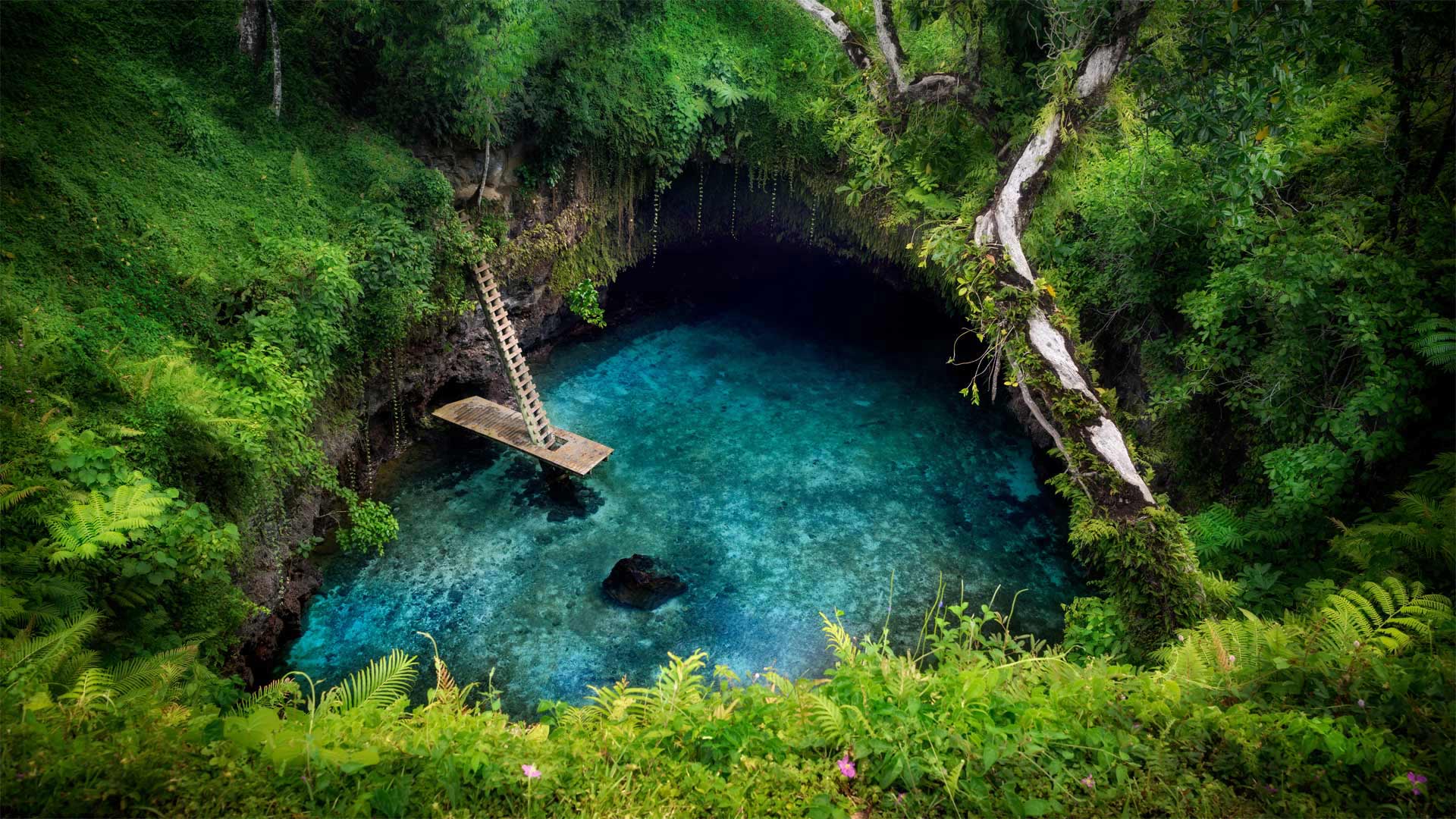 必应壁纸:苏阿海沟，萨摩亚乌波卢岛南海岸