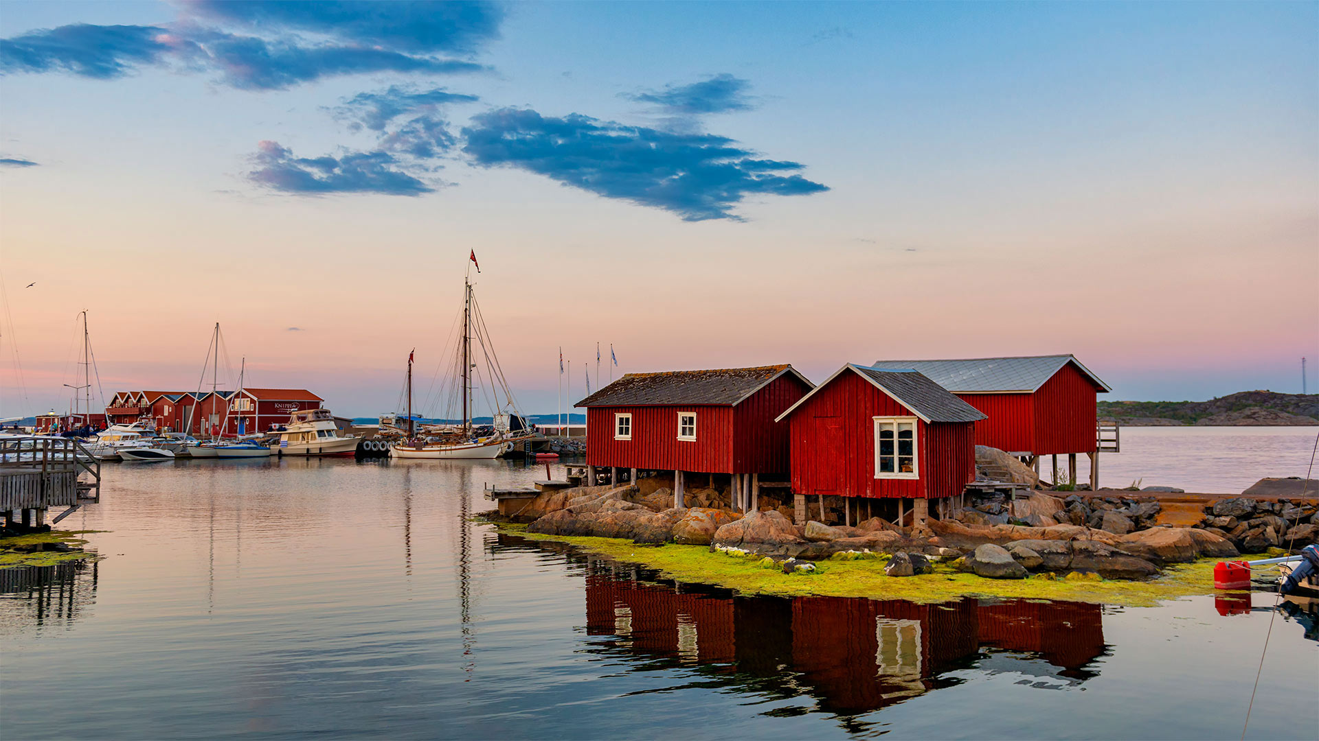 必应壁纸:哥德堡群岛的岸边，瑞典 (© Martin Wahlborg/Getty Images)