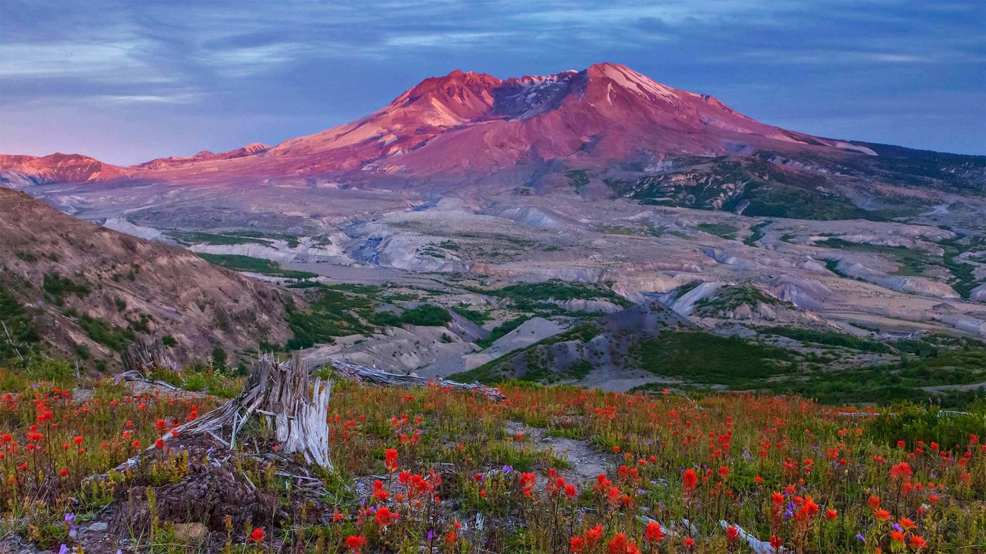 必应壁纸:圣海伦斯山国家火山纪念区的边界小径，美国华盛顿州 (© Don Geyer/Alamy)