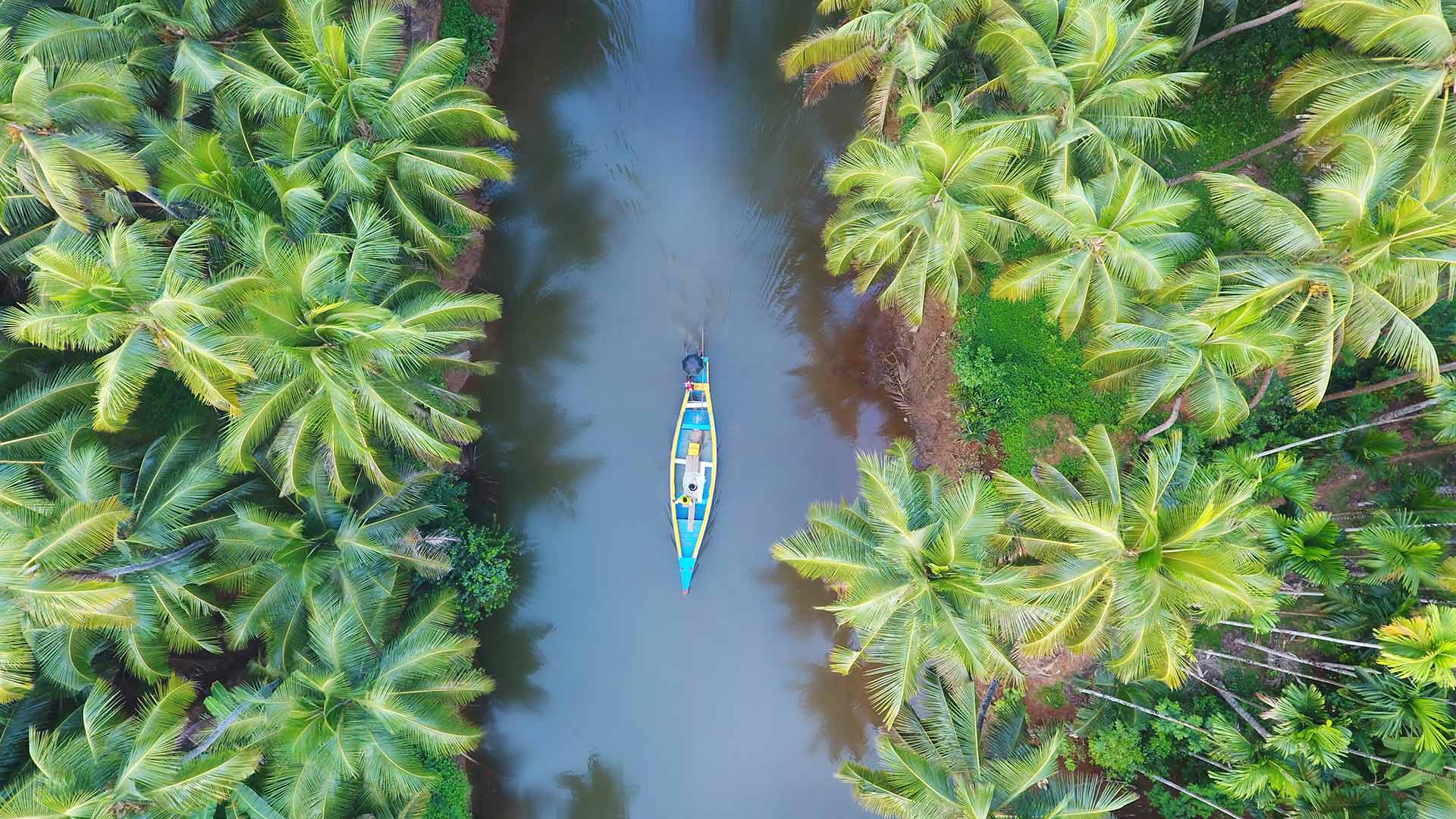 必应壁纸:在喀拉拉邦河流中行驶的一艘小船，印度 (© Shutterstock)