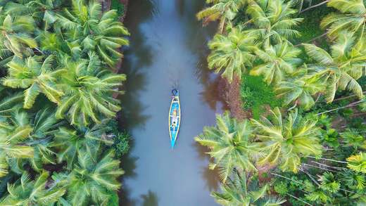 在喀拉拉邦河流中行驶的一艘小船，印度 (© Shutterstock)_必应壁纸