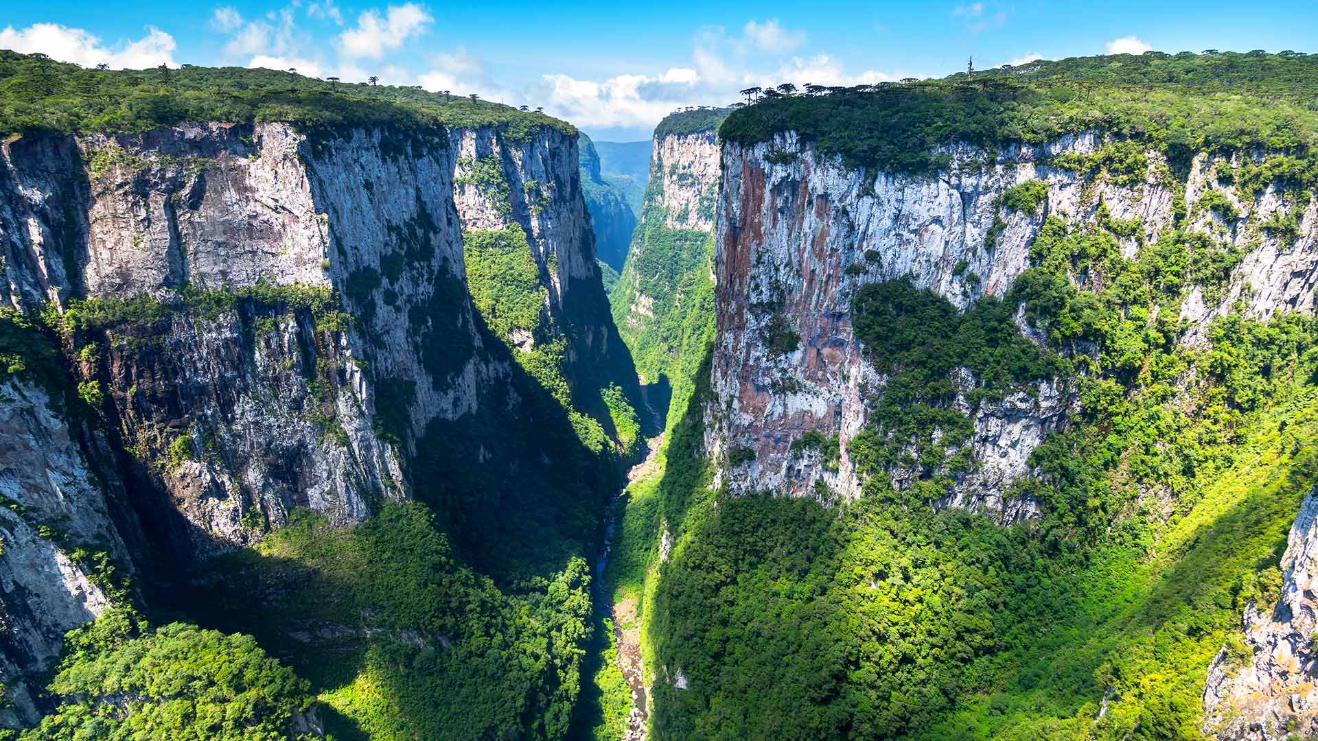 必应壁纸:Itaimbezinho峡谷，巴西 (© NidoHuebl/Getty Images)