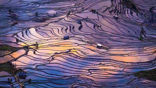 梯田鸟瞰图，元阳，中国 (© AlexGcs/Getty Images)_必应壁纸