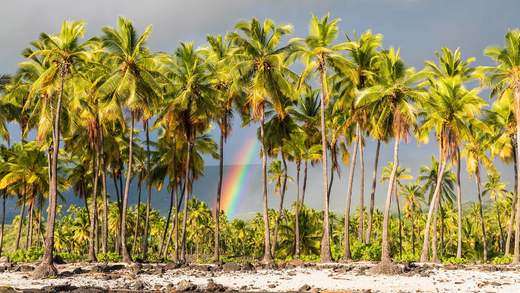 大岛上的霍瑙瑙国家历史公园，夏威夷 (© Westend61/Getty Images)_必应壁纸
