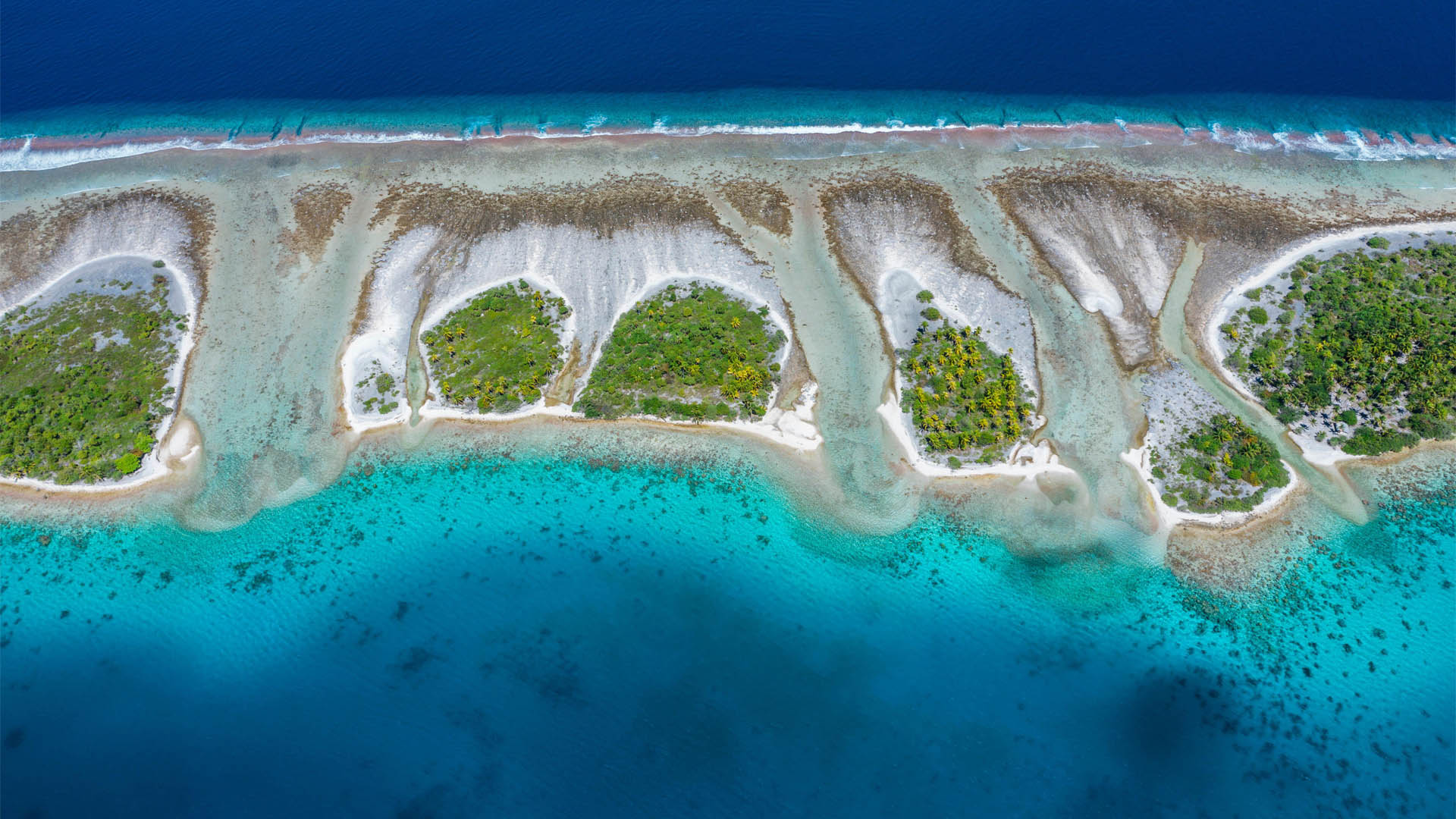 必应壁纸:卡韦希环礁，土阿莫土群岛，法属波利尼西亚 (© WaterFrame/Alamy)