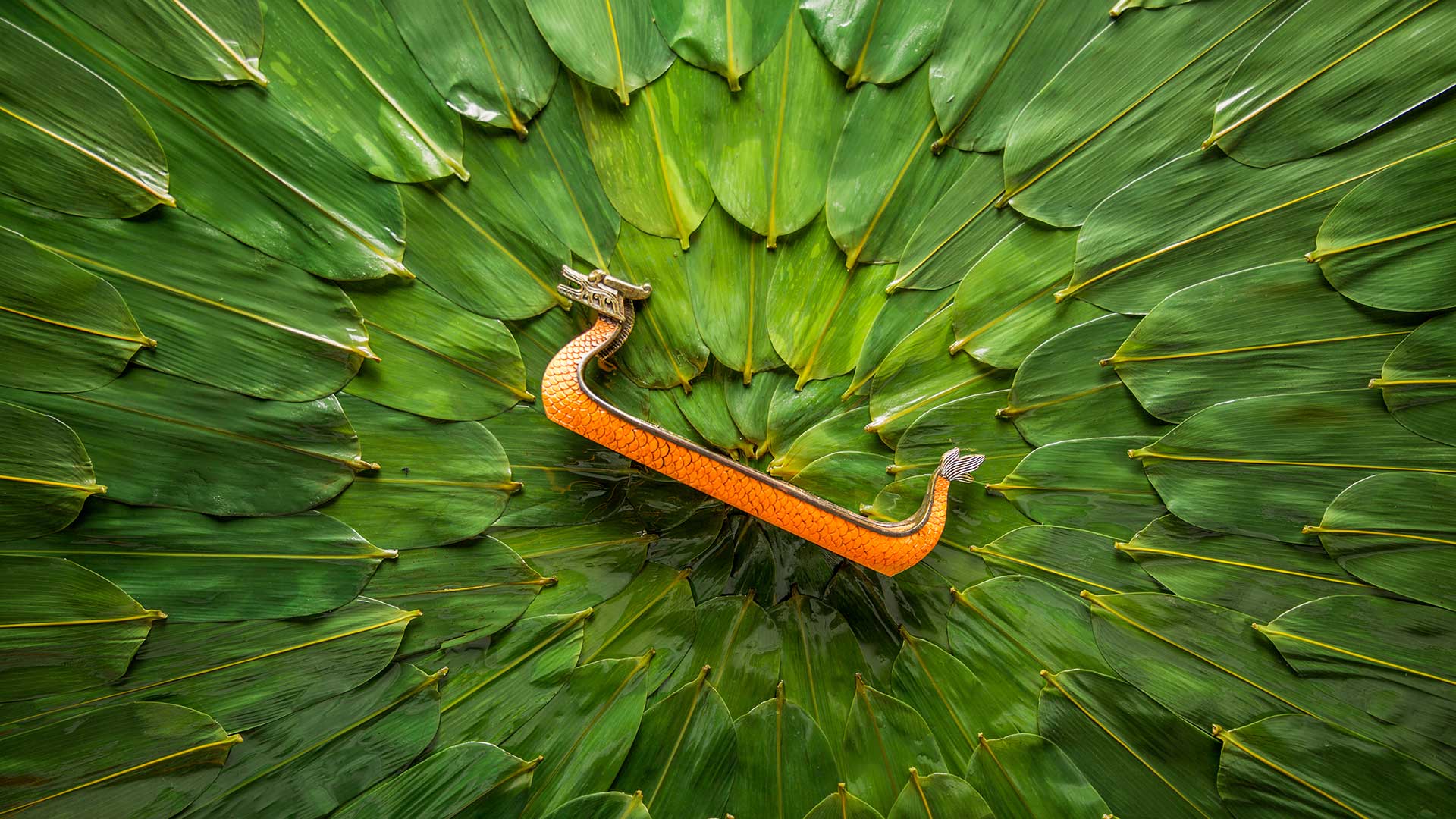 必应壁纸:中国传统节日端午节 (© timekeep/Shutterstock)