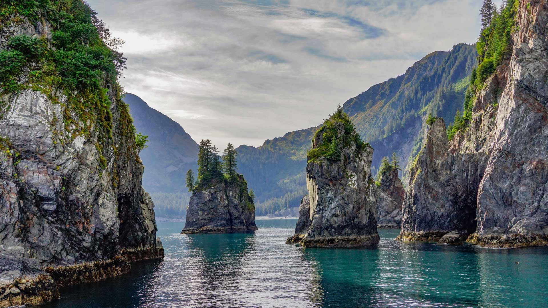 必应壁纸:阿拉斯加基奈峡湾国家公园尖顶湾, 阿拉斯加州苏厄德, 美国 (© Wander Photography/Getty Images)