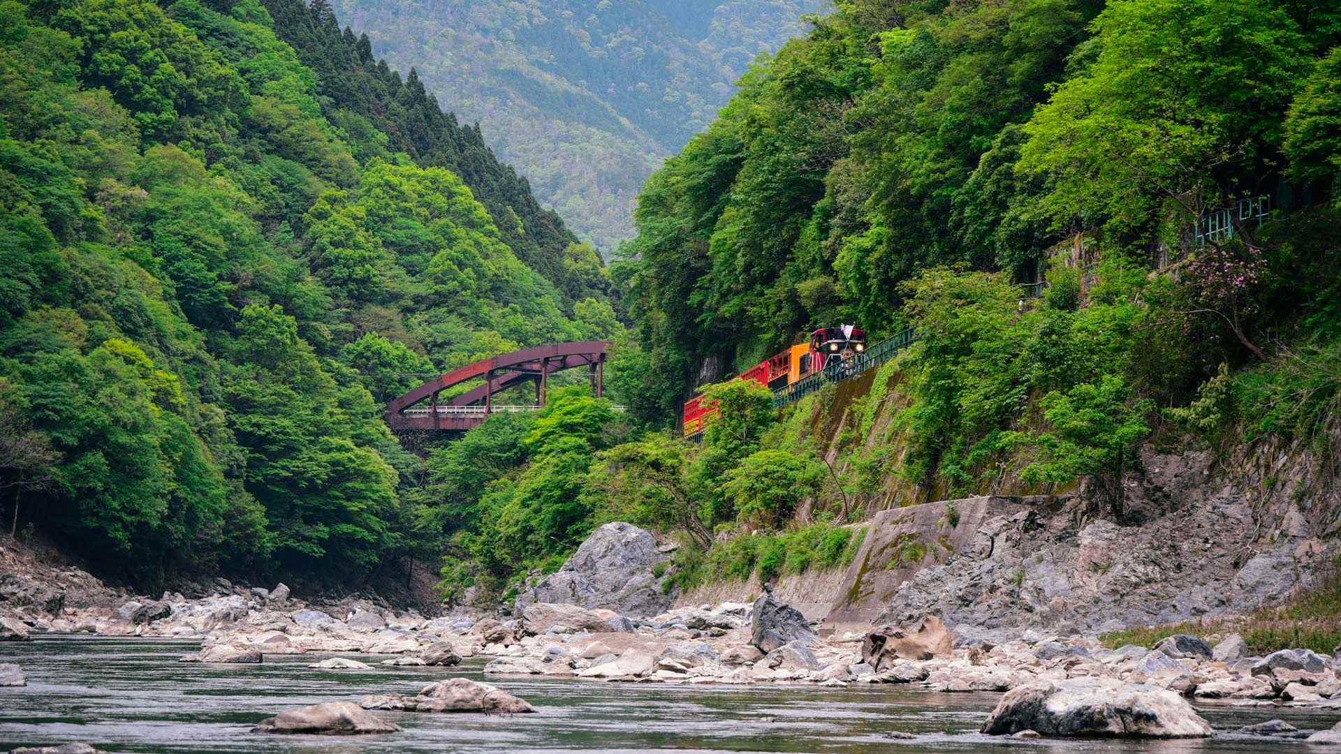 必应壁纸:沿着岚山保津川行驶的火车，京都，日本 (© Alvin Huang/Getty Images)